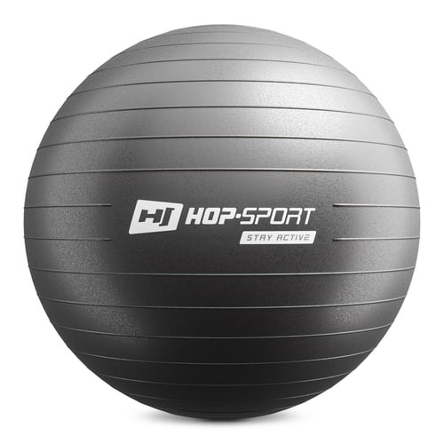 Gym Ball 55 cm w/ Pump black