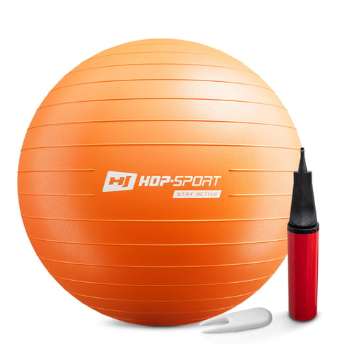 Gym Ball 65cm w/ Pump