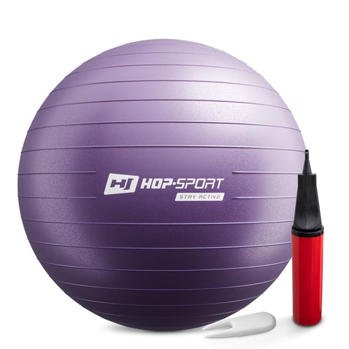 Gym Ball 65cm w/ Pump