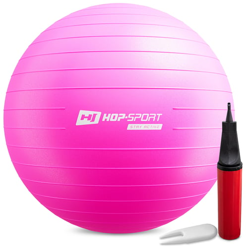 Gym Ball 55 cm w/ Pump pink