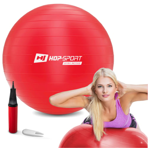 Gym Ball 55 cm w/ Pump