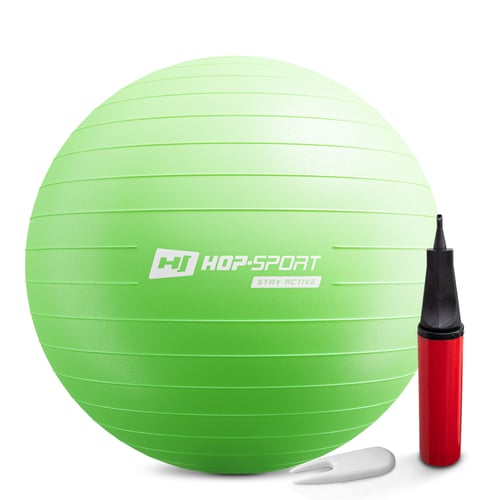 Gym Ball 65cm w/ Pump