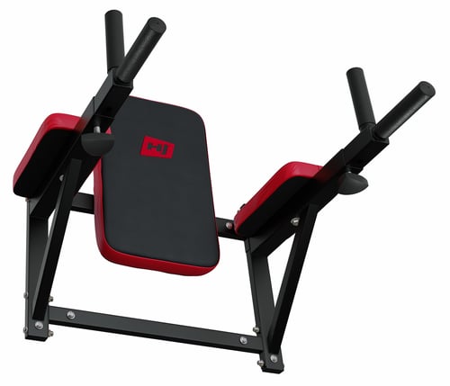 Wall Mounted Pull Up Bar / Dip Station HS-1003K