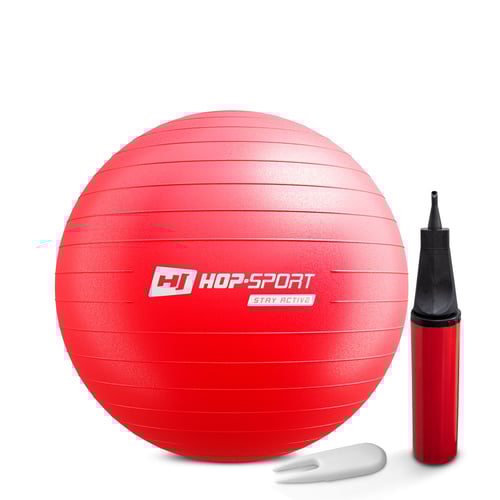 Gym Ball 55 cm w/ Pump red