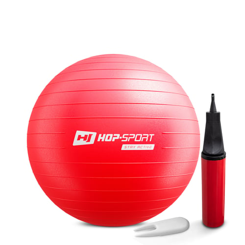 Gym Ball 55 cm w/ Pump