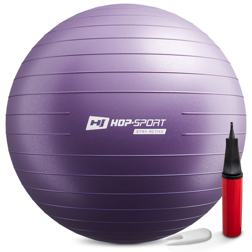 Gym Ball 75 cm w/ Pump purple