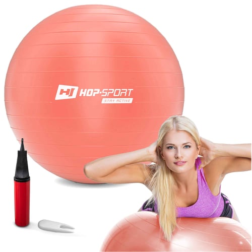 Gym Ball 55 cm w/ Pump light pink
