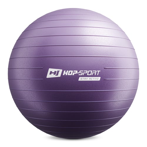 Gym Ball 65cm w/ Pump purple