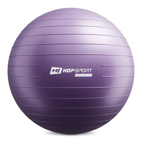 Gym Ball 75 cm w/ Pump purple