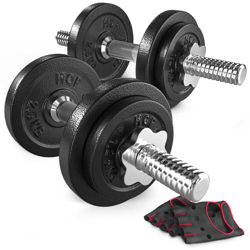 Cast Iron Dumbbell Set 2x10 kg w/ Gym Gloves