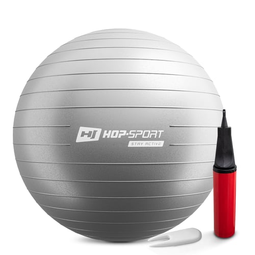 Gym Ball 65cm w/ Pump silver