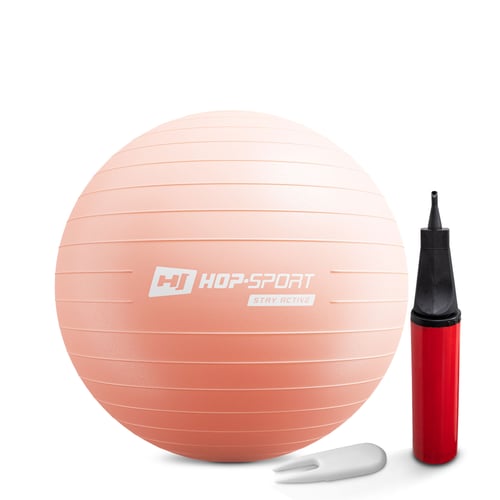 Gym Ball 55 cm w/ Pump light pink